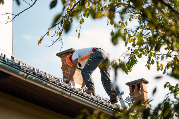 Best Best Roofing Contractors  in Brisbane, CA