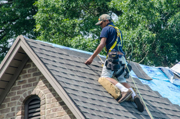 Best Roof Maintenance Services  in Brisbane, CA